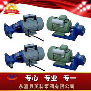 S微型输油齿轮泵微型输油齿轮泵