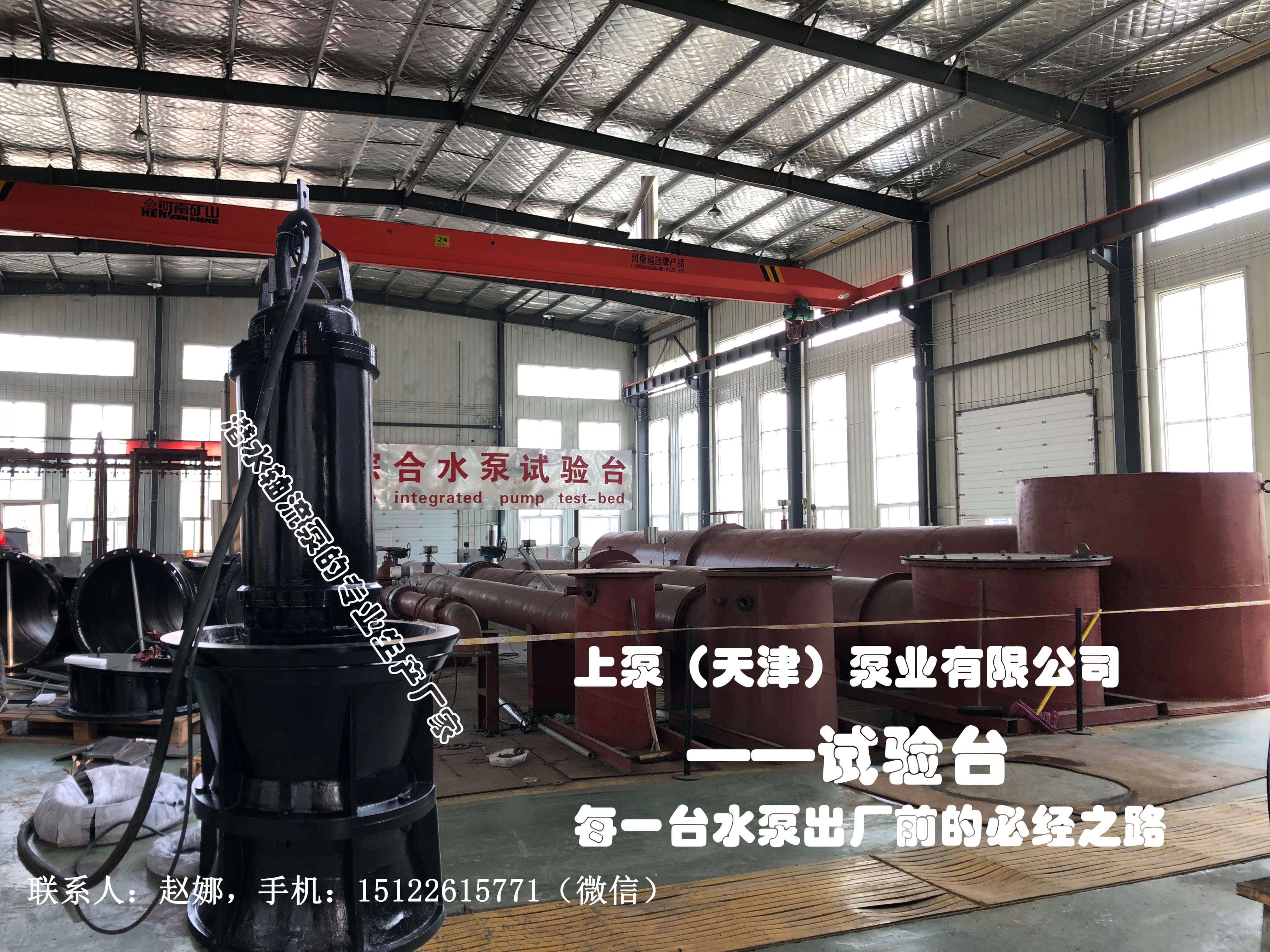 上泵（天津）泵业厂家直销潜水轴流泵