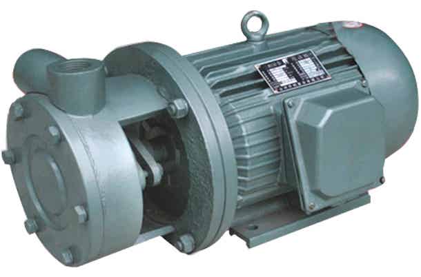 永嘉县海坦泵业直连式单级旋涡泵1W系列