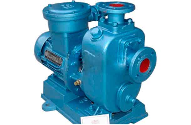 上海鲸浪环保设备ZXL型直联式清水自吸泵