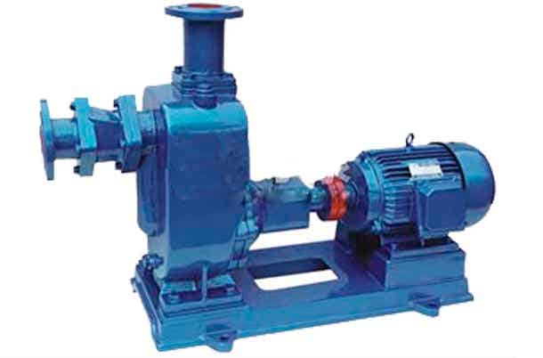 上海鲸浪环保设备ZW型自吸排污泵