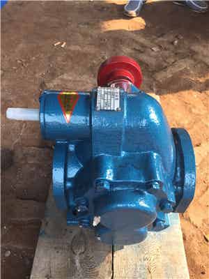 泊头市盛唐泵业有限公司供应耐磨齿轮油泵
