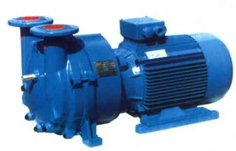 2BV型水环式真空泵 直销热线13561645940