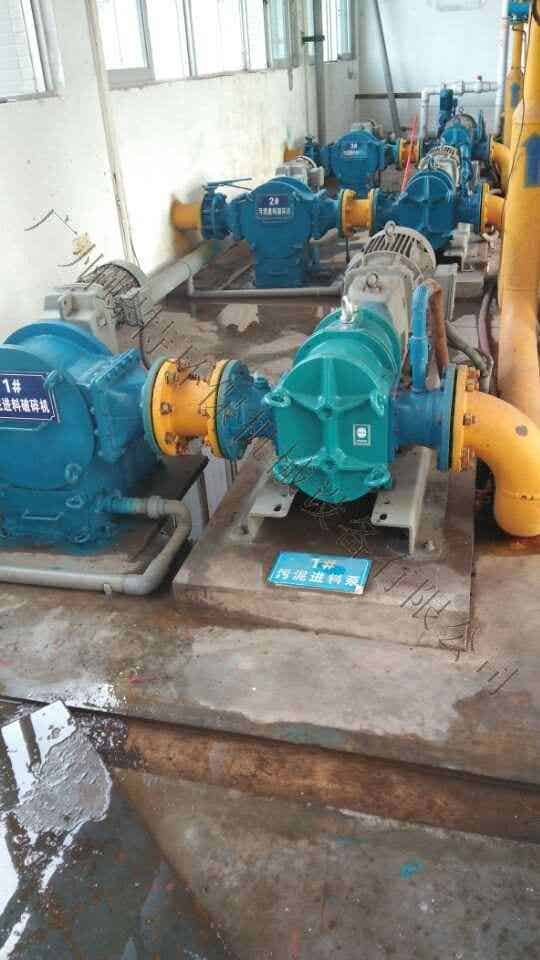 代理销售德国博格凸轮转子泵borger