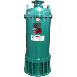 BQS(W)系列矿用隔爆型潜水排沙排污电泵