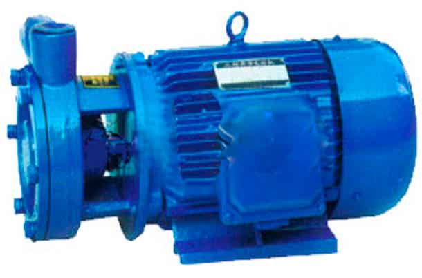 W.WTD船用旋涡泵