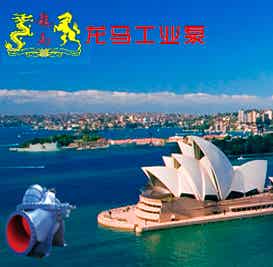 龙马泵业
