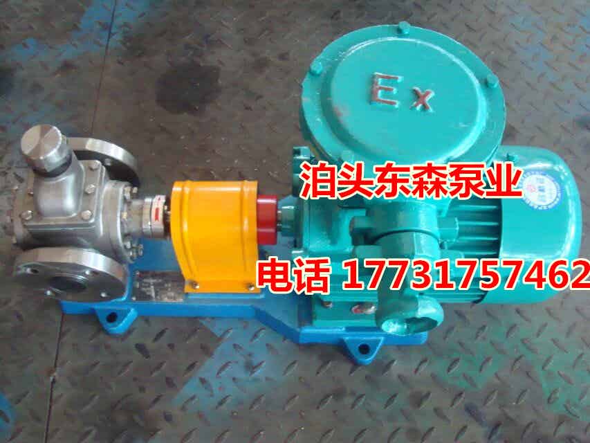 优质圆弧齿轮泵/油泵自产自销认准东森品牌