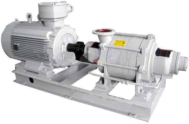 2SY高压水环真空泵