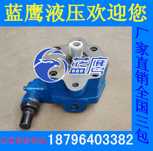 蓝鹰优质BB-B25Y滤油车转子摆线润滑泵