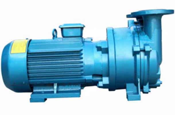 2BV5121型水环式真空泵