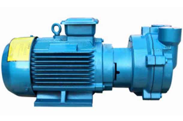 2BV2070型水环式真空泵