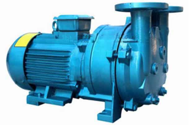 2BV5111型水环式真空泵