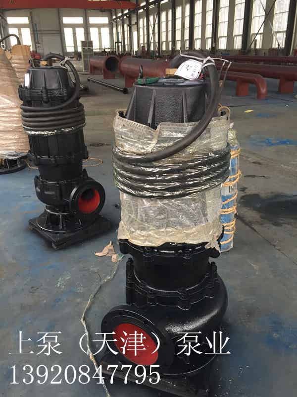 泵站抗洪排涝大口径专用排污泵厂家