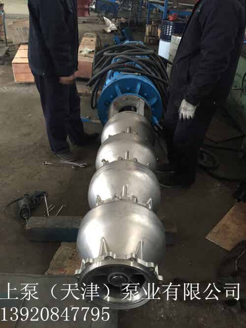 景区供水专用大流量潜水电泵