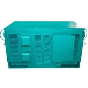 山东华普Y高压电机