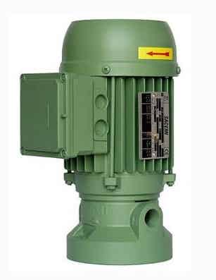 大量销售SACEMI沉浸泵