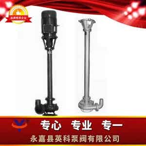 NL污水泥浆泵
