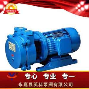 SK直联式水环式真空泵