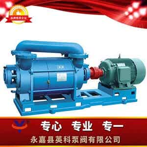 2SK两级水环式真空泵