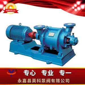 SZ水环式真空泵