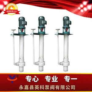 FYS耐腐蚀液下泵