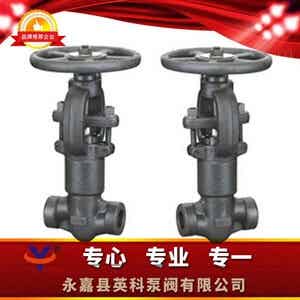 Z61H自密封锻钢闸阀