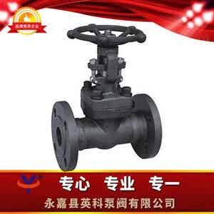 Z41Y锻钢法兰闸阀