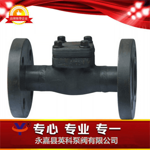 H41H法兰锻钢止回阀