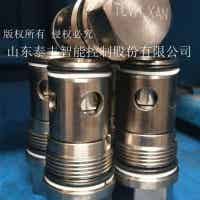TCVH品牌泰丰螺纹单向阀