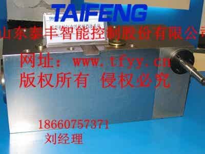 泰丰数控折弯机液压缸，电液油缸