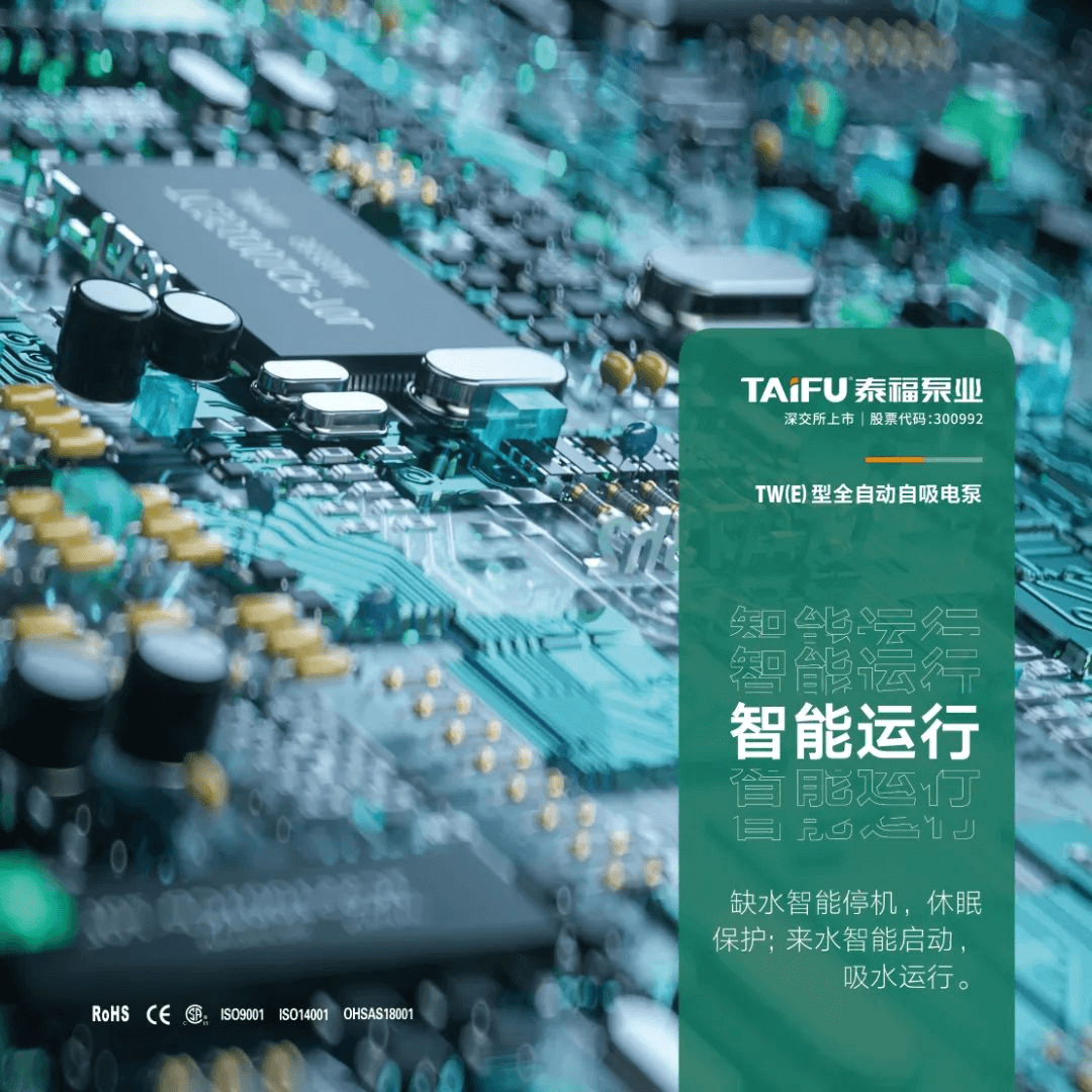 泰福TW（E）型全自动自吸电泵