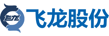 飞龙股份