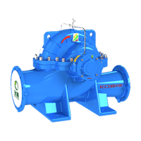 瑞晨环保单级双吸离心泵